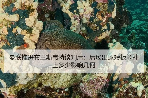曼联推进布兰斯韦特谈判后：后场出球短板能补上多少影响几何